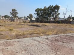 TERRENO CARRETERA LAS ANIMAS- COYOTEPEC 6,731m2