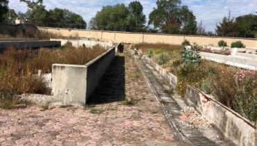 HACIENDA CAÑADA DE CISNEROS EN VENTA