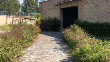 HACIENDA CAÑADA DE CISNEROS EN VENTA