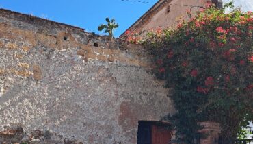 HACIENDA CAÑADA DE CISNEROS EN VENTA