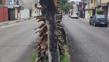 VENTA DE CASA EN LOS OLIVOS, TLALNEPANTLA EDO DE MÉXICO