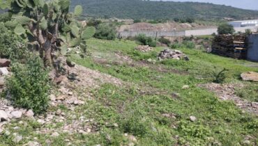 Lote de Terreno en venta , Teoloyucan