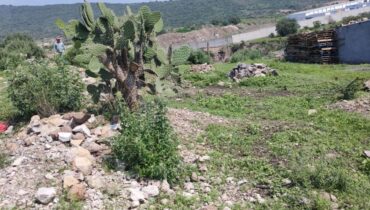 Lote de Terreno en venta , Teoloyucan