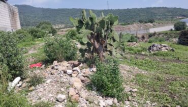 Lote de Terreno en venta , Teoloyucan