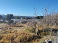 TERRENO, SANTIAGO CUAUTLALPAN 200m2