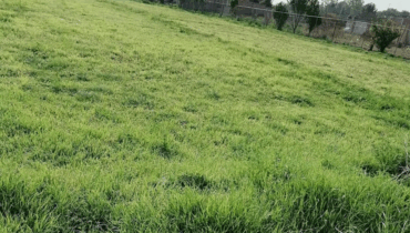 TERRENO SAN MATEO XOLOC, 1100 M2