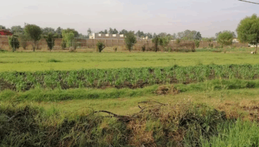 TERRENO SAN MATEO XOLOC, 1100 M2