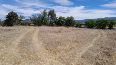 TERRENO EN VENTA EN JIQUIPILCO, ESTADO DE MÉXICO