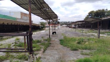 Terreno San Mateo Xoloc, Tepotzotlán 3000 m2