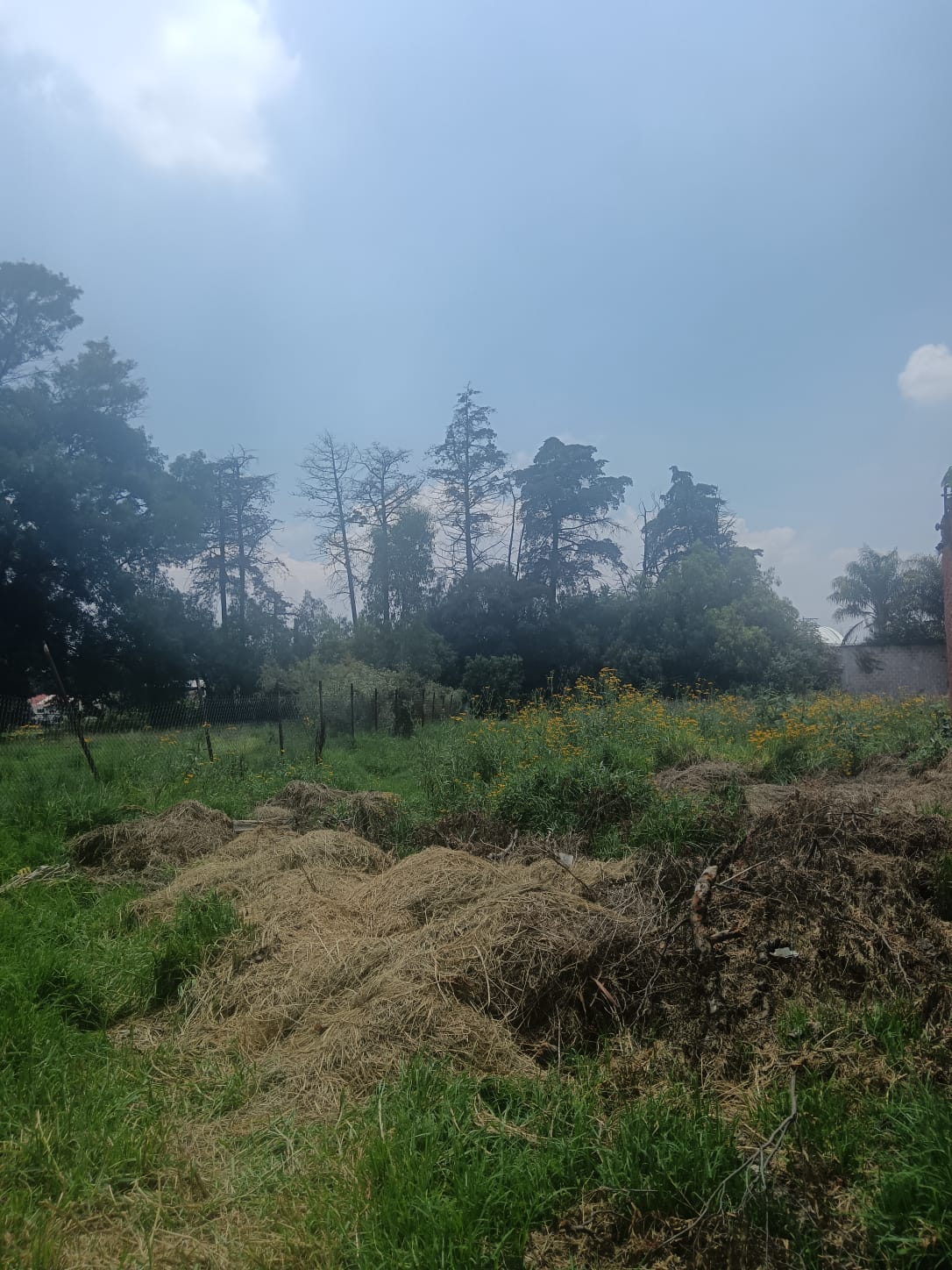 Terreno San Mateo Xoloc 300 m2