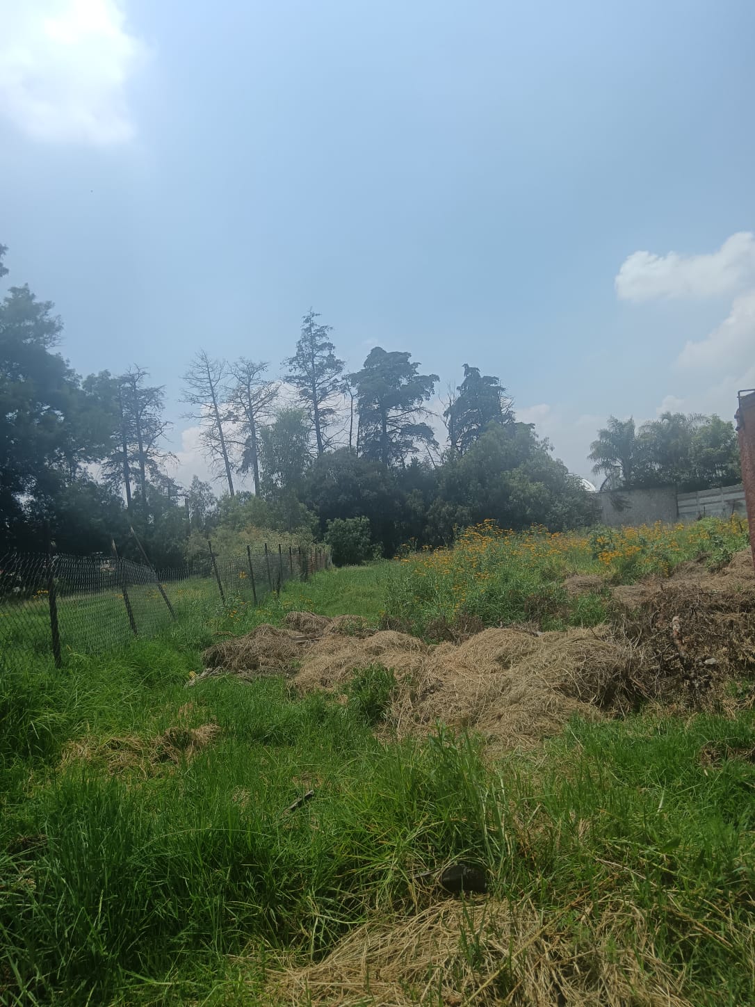 Terreno San Mateo Xoloc 300 m2