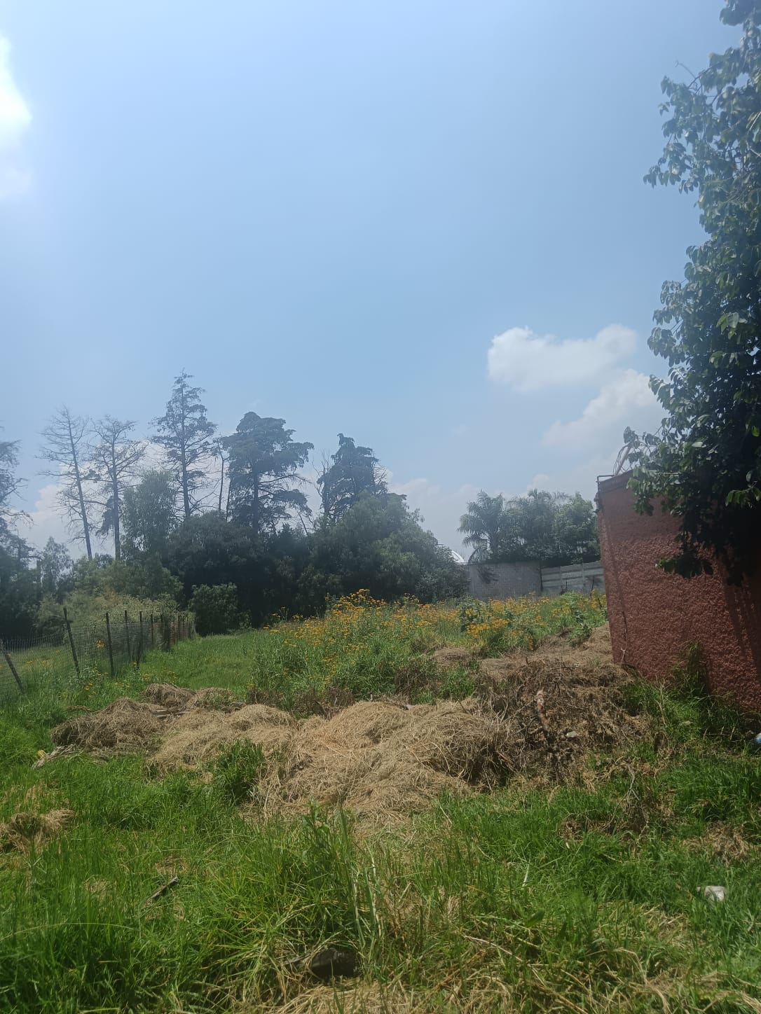 Terreno San Mateo Xoloc 300 m2