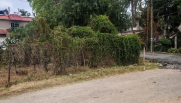 TERRENO EN VENTA EN AXOTLAN, C. IZCALLI 175m2