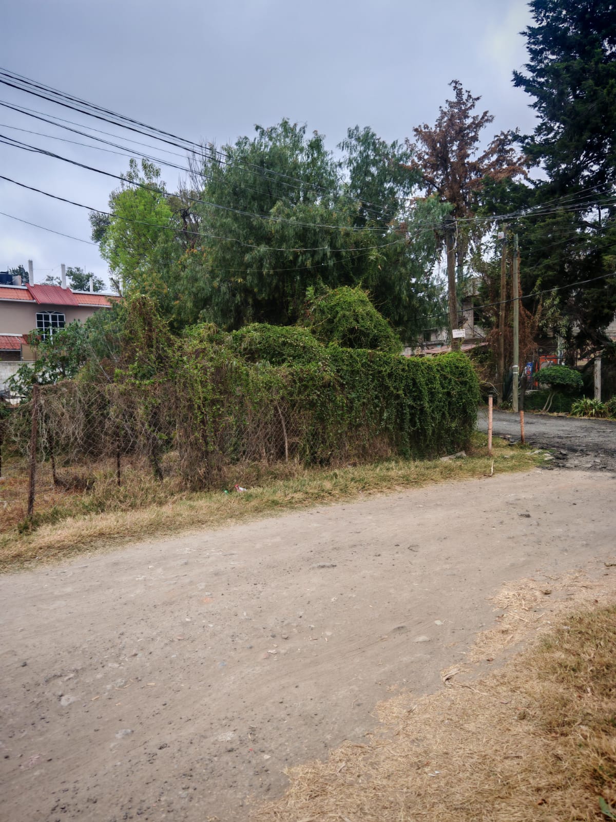 TERRENO EN VENTA EN AXOTLAN, C. IZCALLI 175m2