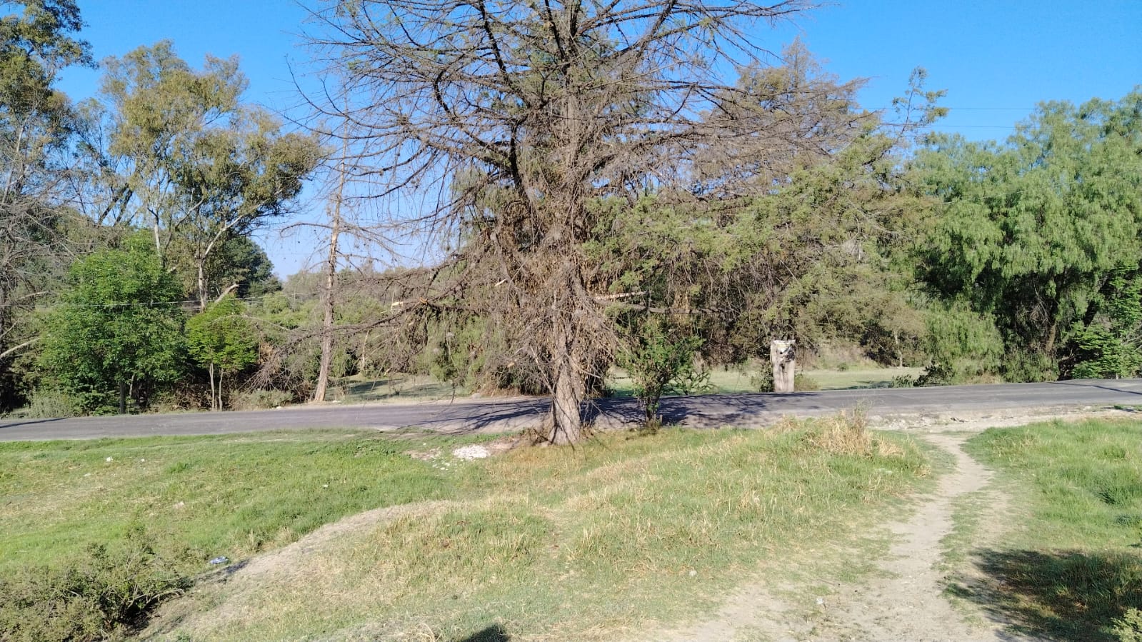 TERRENO EN VENTA 10,000M2,  SANTIAGO CUAUTLALPAN, TEPOTZOTLÁN, EDOMEX.