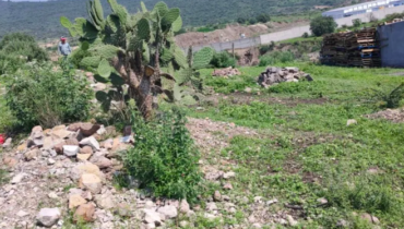 TERRENO CON 2 ACCESORIAS, TEOLOYUCAN