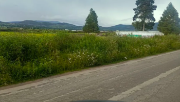 TERRENO 10,000 M2 SAN DIEGO TLALAYOTE HIDALGO