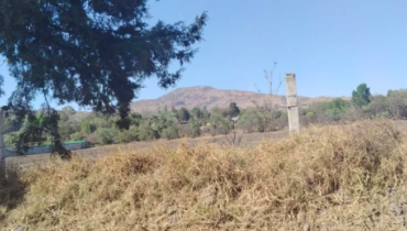 TERRENO 10,000 M2 SAN DIEGO TLALAYOTE HIDALGO