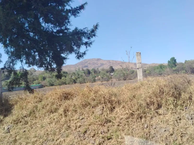 TERRENO 10,000 M2 SAN DIEGO TLALAYOTE HIDALGO