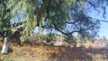 37,000 m² en Venta en Santa Cruz, Tepotzotlán – Sobre Avenida Principal con Todos los Servicios!
