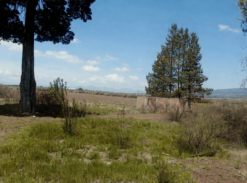 TERRENO 10,000 M2 SAN DIEGO TLALAYOTE HIDALGO
