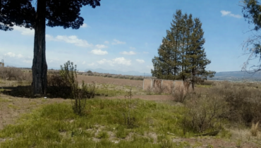 TERRENO 10,000 M2 SAN DIEGO TLALAYOTE HIDALGO