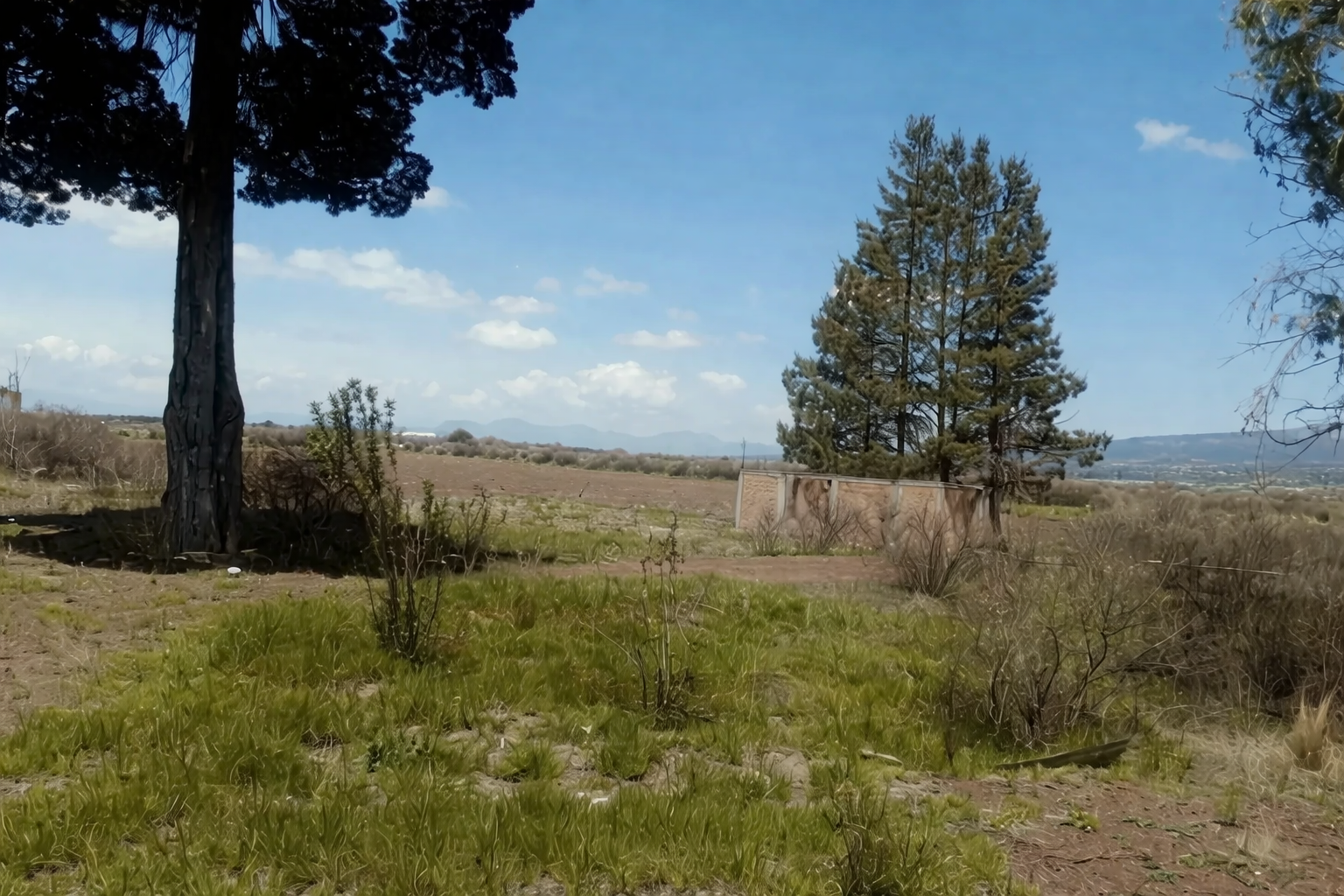 TERRENO 10,000 M2 SAN DIEGO TLALAYOTE HIDALGO