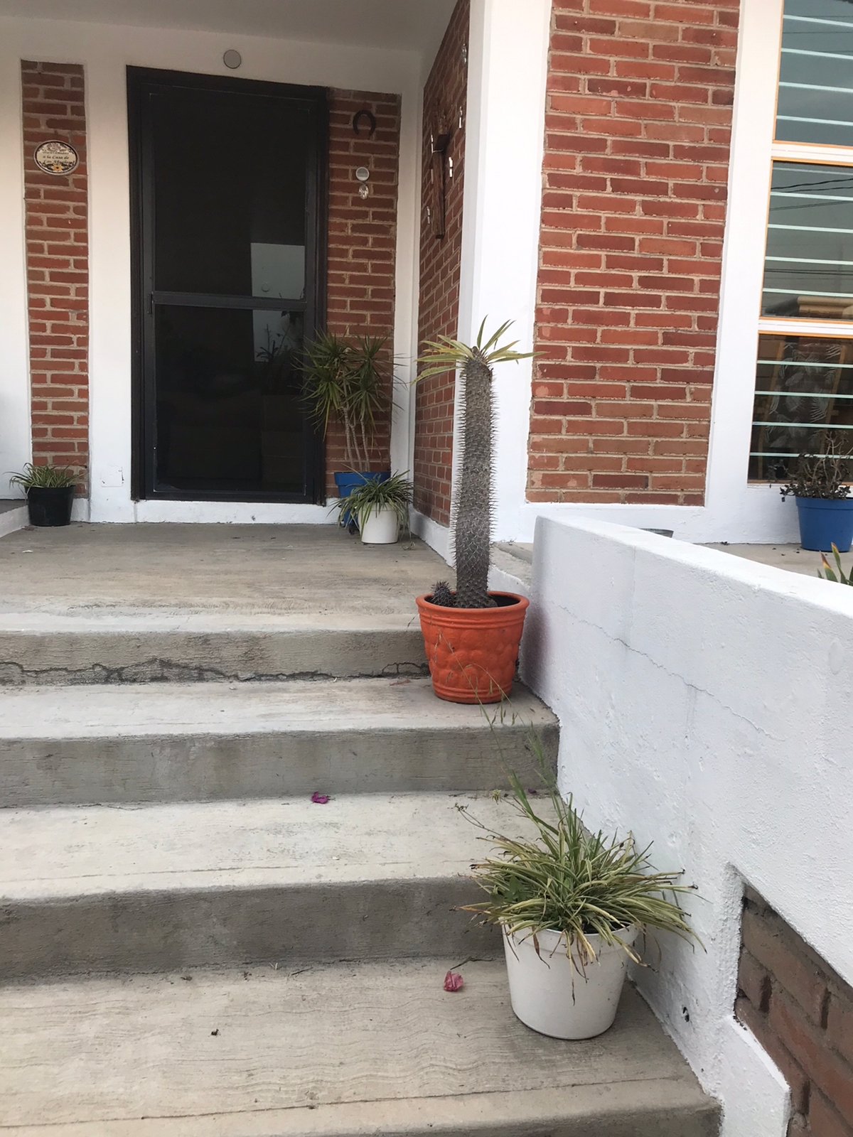 CASA DE CAMPO EN  VENTA , SANTIAGO CUAUTLALPAN