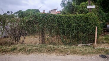 TERRENO EN VENTA EN AXOTLAN, C. IZCALLI 175m2