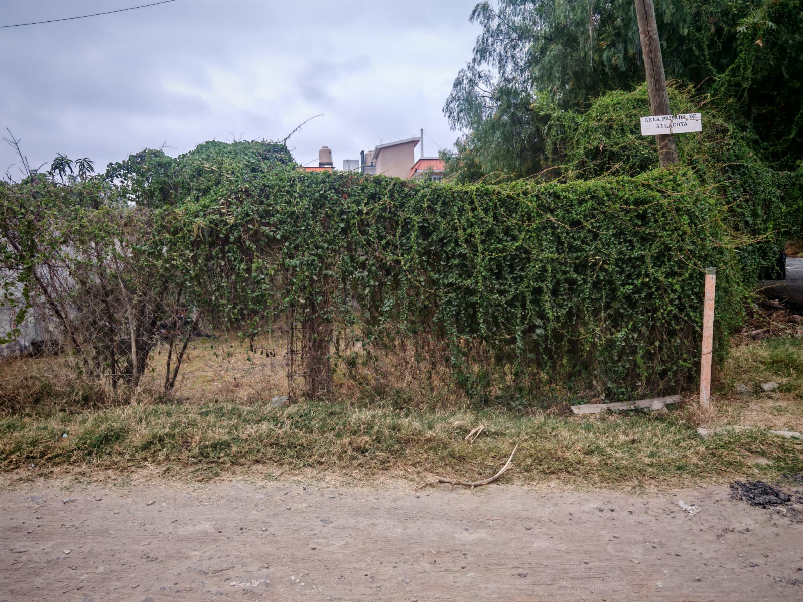 TERRENO EN VENTA EN AXOTLAN, C. IZCALLI 175m2