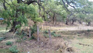TERRENO 40,000M2 STGO CUAUTLALPAN $2000M2