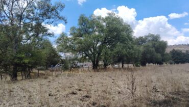 TERRENO 40,000M2 STGO CUAUTLALPAN $2000M2