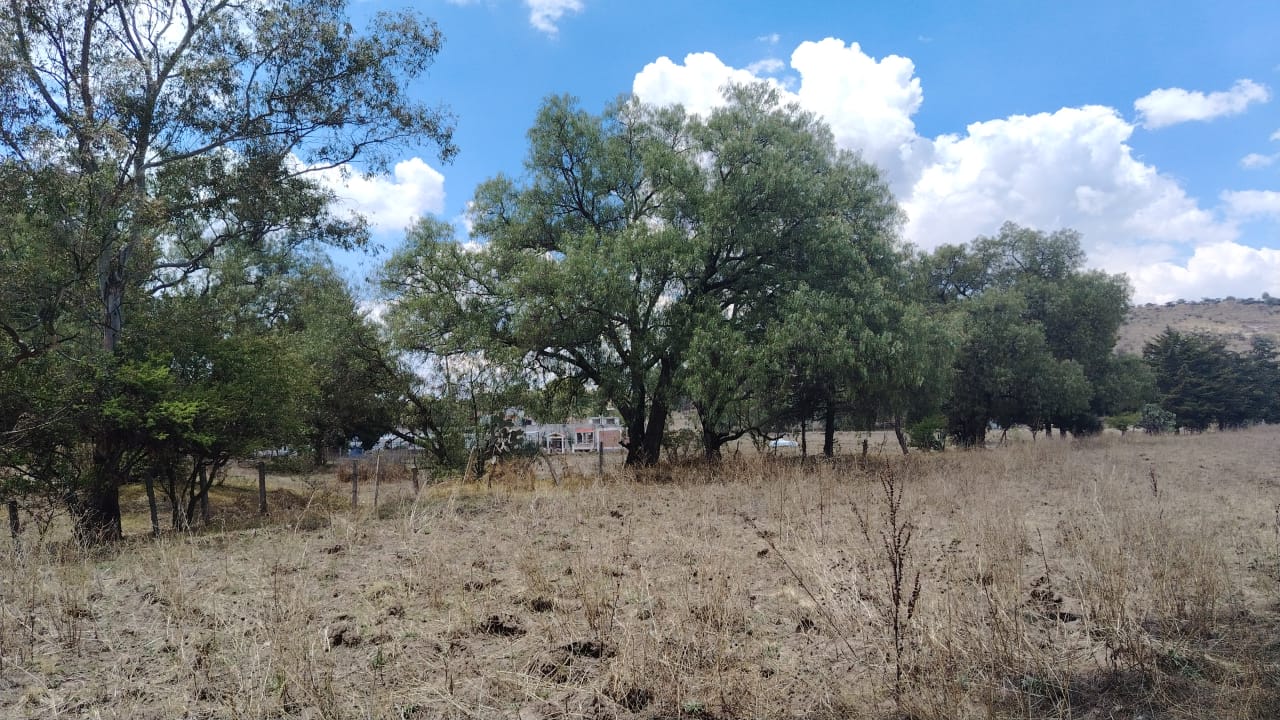 TERRENO 40,000M2 STGO CUAUTLALPAN $2000M2