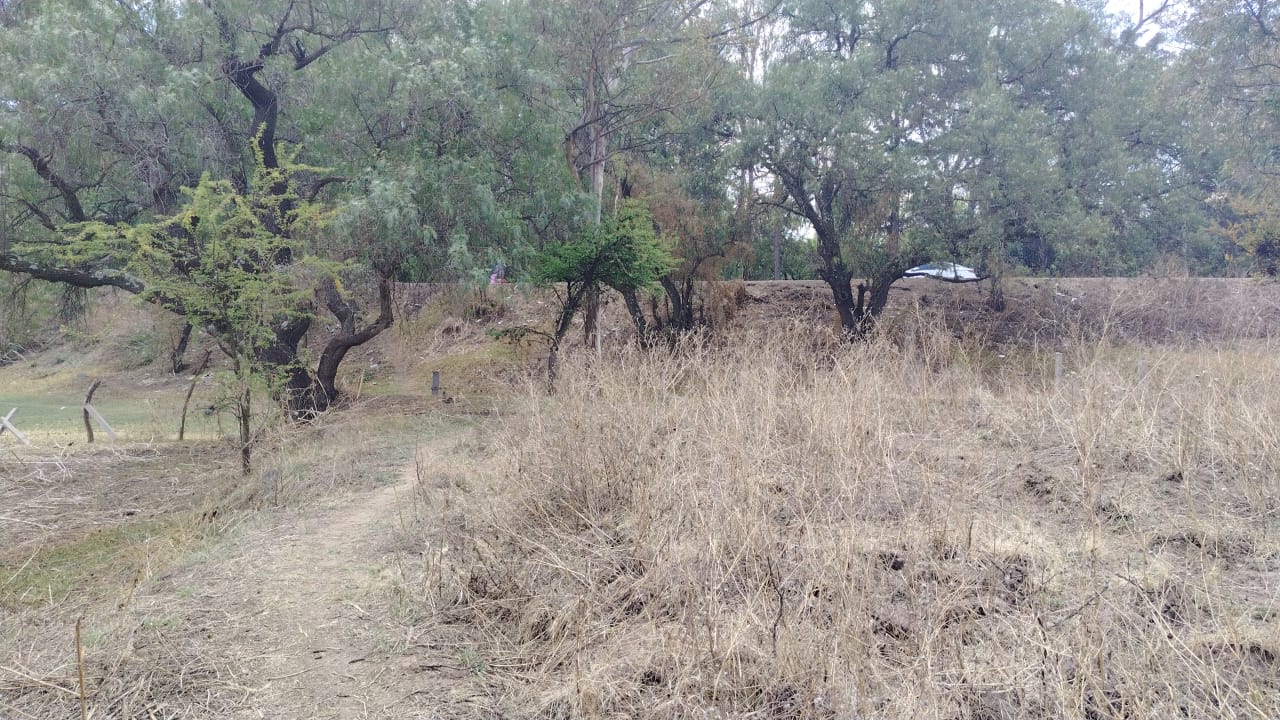 TERRENO 40,000M2 STGO CUAUTLALPAN $2000M2