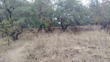 TERRENO 40,000M2 STGO CUAUTLALPAN $2000M2