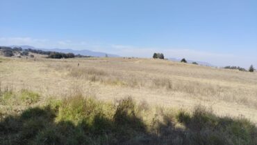 TERRENO EN VENTA,  LOS DOLORES TEPOTZOTLÁN, 10,000m2