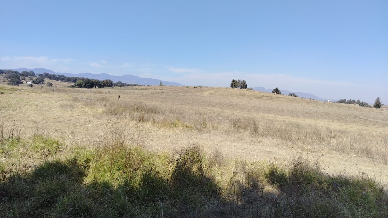 TERRENO EN VENTA,  LOS DOLORES TEPOTZOTLÁN, 10,000m2