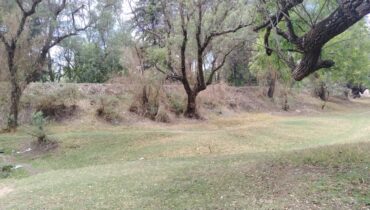 TERRENO 40,000M2 STGO CUAUTLALPAN $2000M2