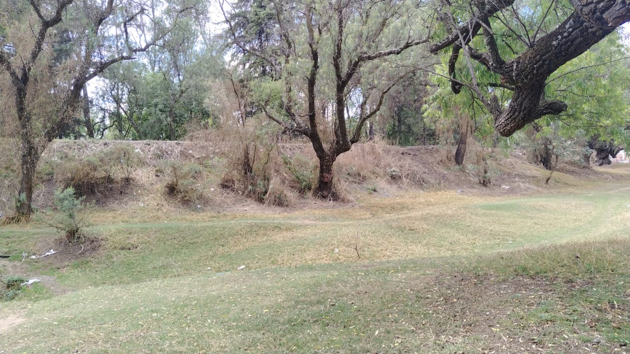 TERRENO 40,000M2 STGO CUAUTLALPAN $2000M2