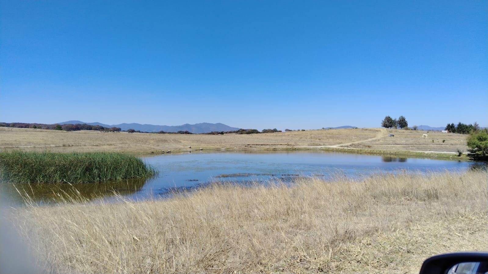 TERRENO EN VENTA 12 HECTAREAS, DOLORES TEPOTZOTLÁN