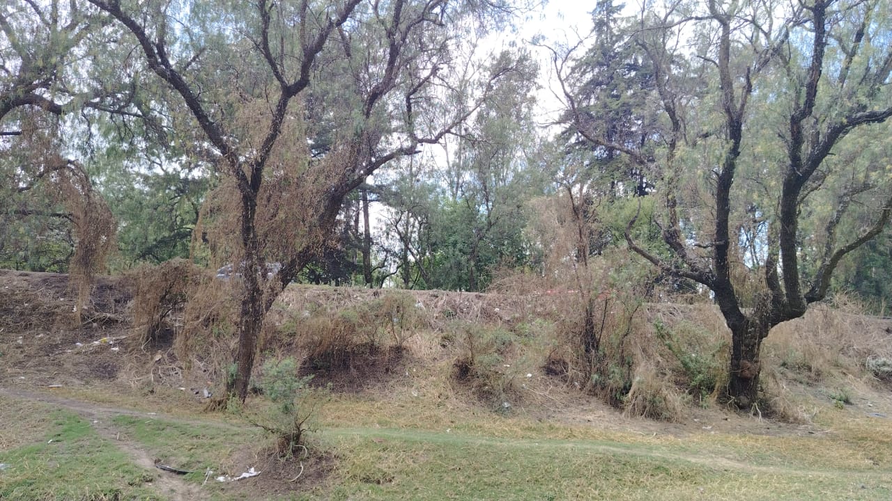 TERRENO 40,000M2 STGO CUAUTLALPAN $2000M2