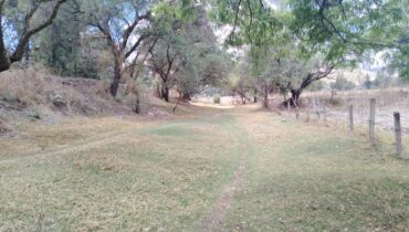 TERRENO 40,000M2 STGO CUAUTLALPAN $2000M2