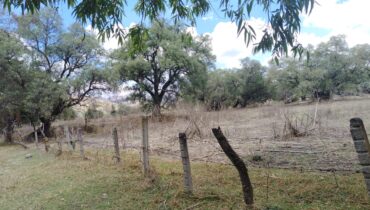 TERRENO 40,000M2 STGO CUAUTLALPAN $2000M2