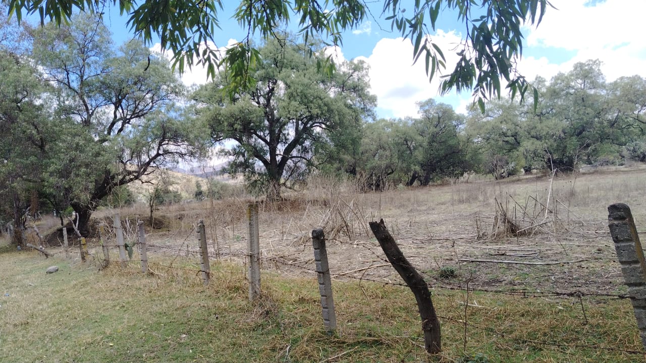 TERRENO 40,000M2 STGO CUAUTLALPAN $2000M2
