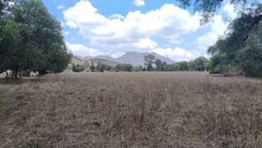 TERRENO 40,000M2 STGO CUAUTLALPAN $2000M2