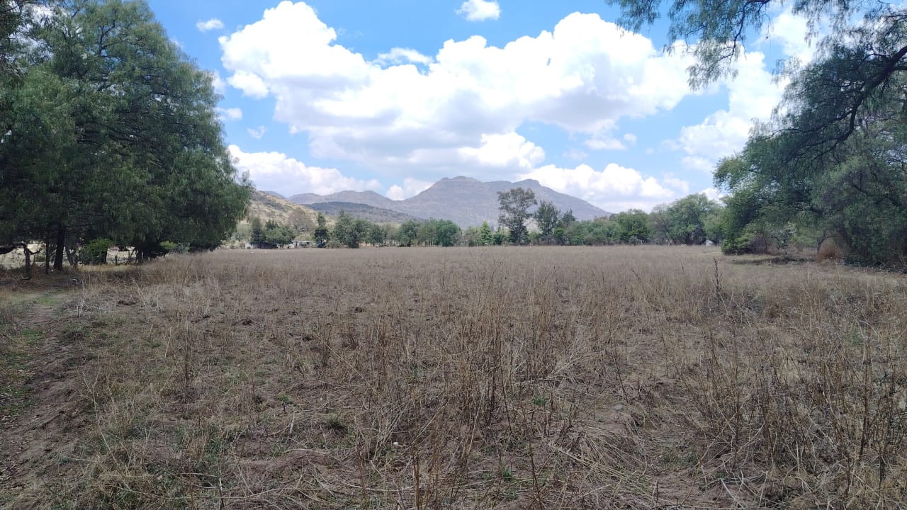 TERRENO 40,000M2 STGO CUAUTLALPAN $2000M2