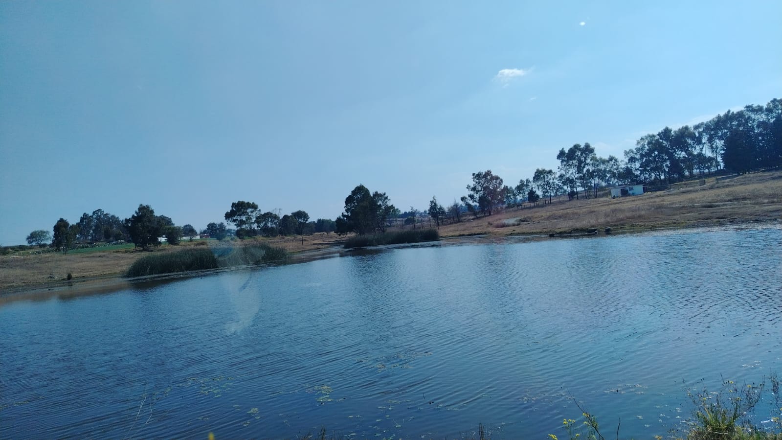TERRENO EN VENTA,  LOS DOLORES TEPOTZOTLÁN, 10,000m2