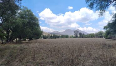 TERRENO 40,000M2 STGO CUAUTLALPAN $2000M2