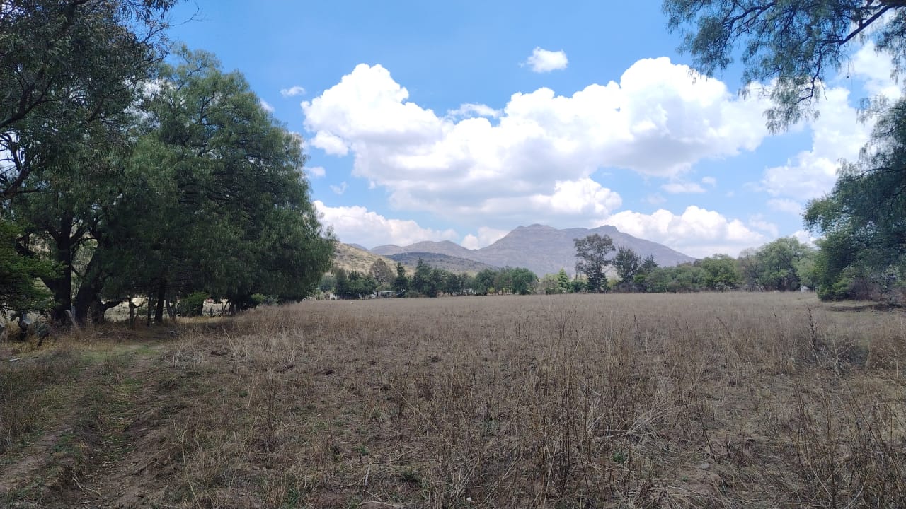 TERRENO 40,000M2 STGO CUAUTLALPAN $2000M2
