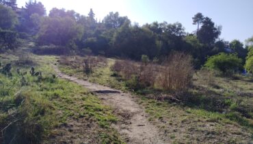 TERRENO EN VENTA 10,000M2,  SANTIAGO CUAUTLALPAN, TEPOTZOTLÁN, EDOMEX.